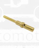 Deutsch 0460-202-1631 Gold Pin Size 16